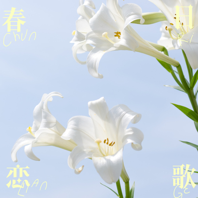 命に嫌われている。封面