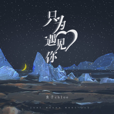 只为遇见你封面