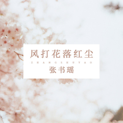 风打花落红尘(伴奏) - 张书瑶封面
