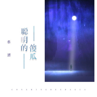 聪明的傻瓜（完整版）封面