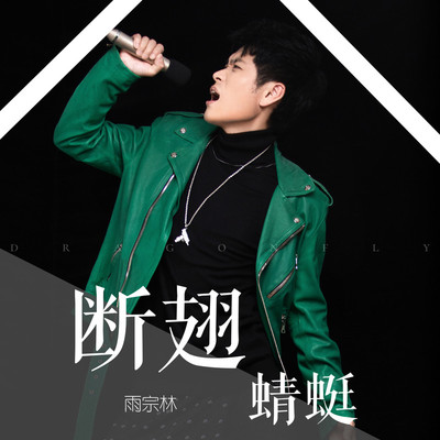 断翅蜻蜓(伴奏) - 雨宗林封面