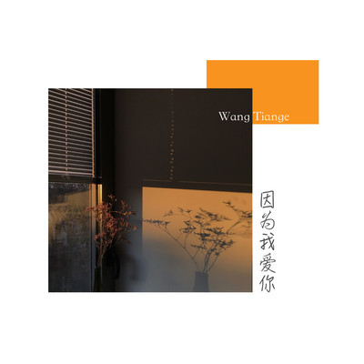 因为我爱你封面