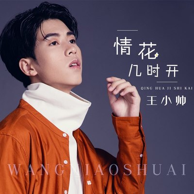 情花几时开(DJCandy Mix)（男版）封面