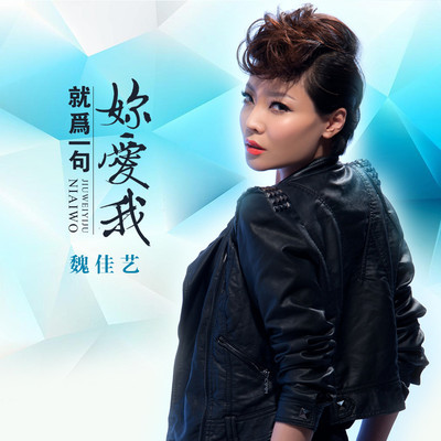 就为一句你爱我（DJheap九天版伴奏） - 魏佳艺封面