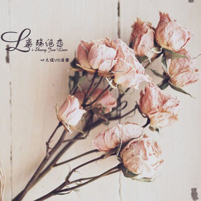 离殇绝恋（完整版）封面