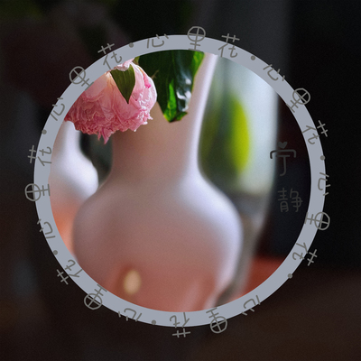 心里花封面
