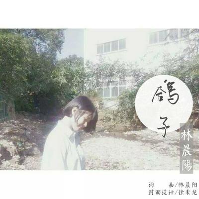 鸽子封面