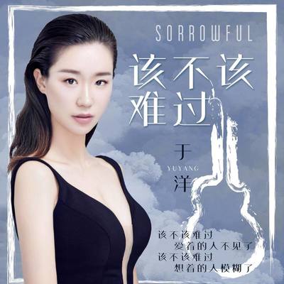 该不该难过(DJ刚仔版伴奏) - 于洋封面