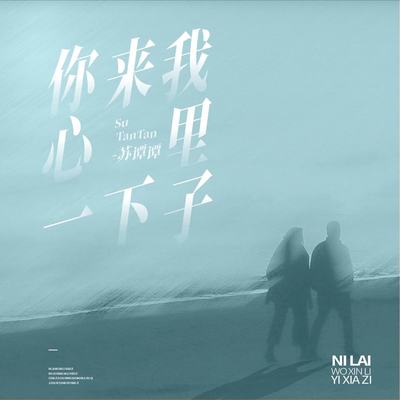 你来我心里一下子(DJ沈念版)封面