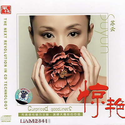 一江水封面