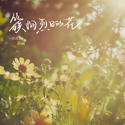 簇拥烈日的花封面