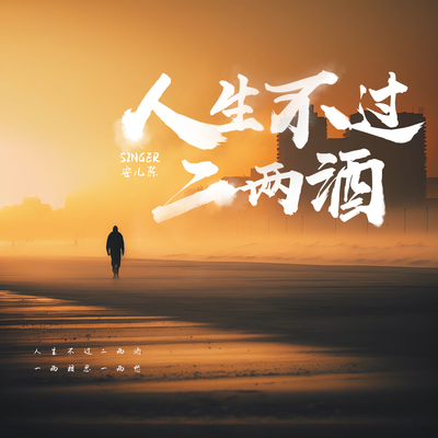 人生不过二两酒封面