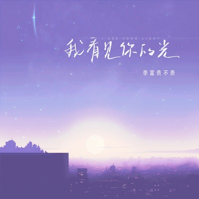 我看见你的光封面
