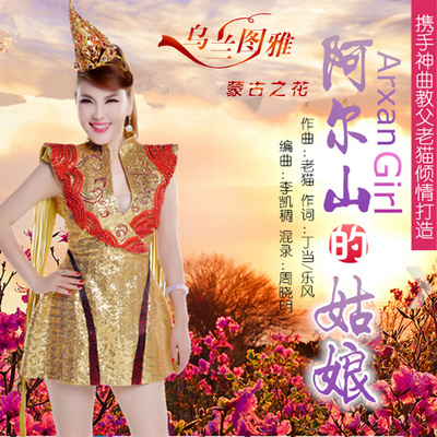 阿尔山的姑娘 (DJ版)封面
