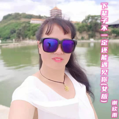 下辈子不一定还能遇见你 - 谢欣雨封面