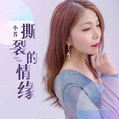 撕裂的情缘封面