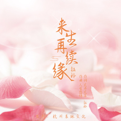 来生再续缘(伴奏)封面