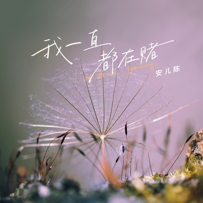 我一直都在赌封面