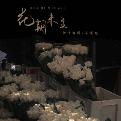花期未至（完整版）封面