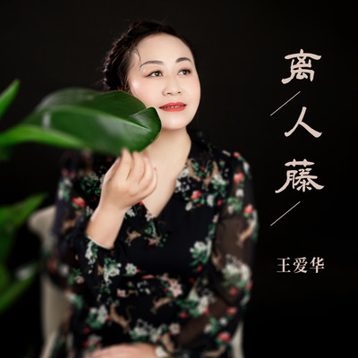 离人藤(DJ野花版伴奏)封面
