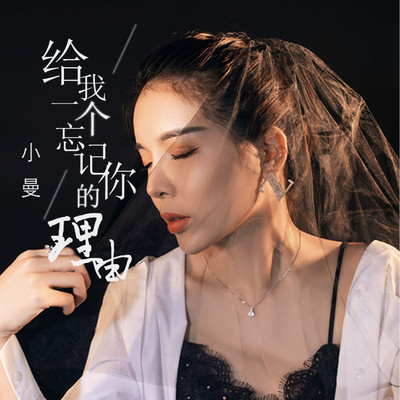给我一个忘记你的理由(DJ枫叶版)封面