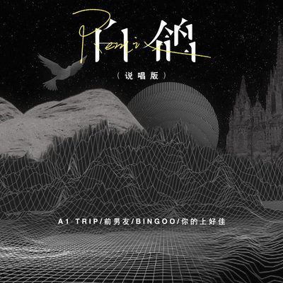 白鸽Remix (说唱版)封面