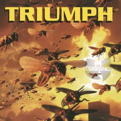 Triumph(Instrumental)封面