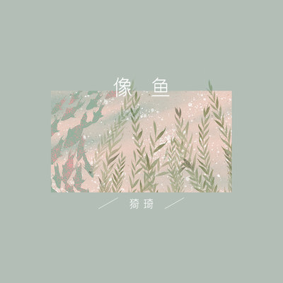 像鱼 - 佳其封面