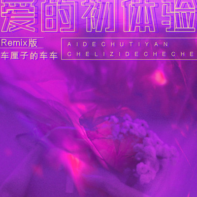 爱的初体验 (remix版伴奏)封面