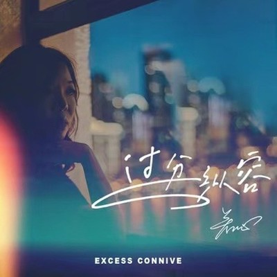 过分纵容 (DJ阿福版)封面