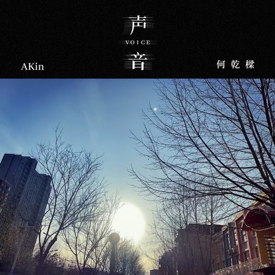 声音(伴奏)封面