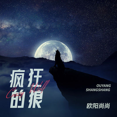 疯狂的狼(DJ阿卓版)(DJ阿卓版)封面