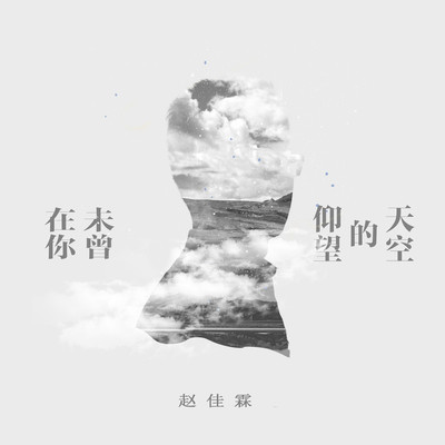 在你未曾仰望的天空封面