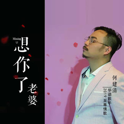 想你了老婆（2019 DJQQ Prog House Mix版）封面