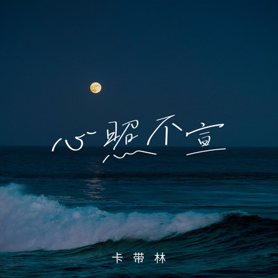 心照不宣(伴奏)封面