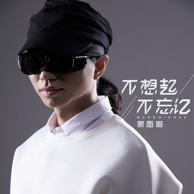 不想起不忘记(伴奏)封面