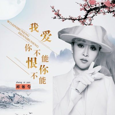 我爱你不能恨你不能封面