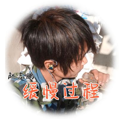缓慢过程（伴奏）(伴奏)封面