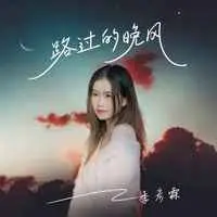 路过的晚风(DJMT版)