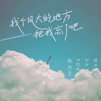 找个风大的地方把我忘了吧(DJ默涵版)(伴奏)封面