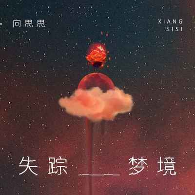 失踪梦境(伴奏)封面