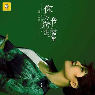 你又游进我梦里(DJ默涵版) - 魏佳艺封面