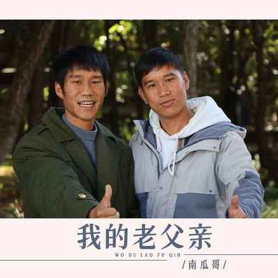 我的老父亲封面