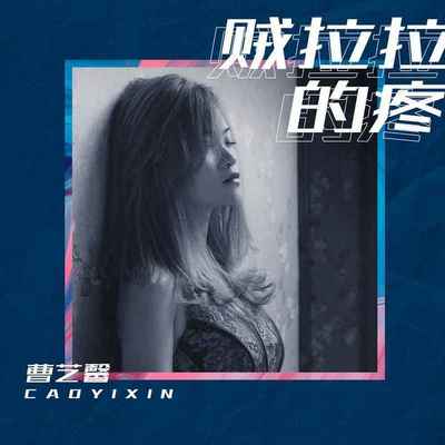 贼拉拉的疼(伴奏)封面