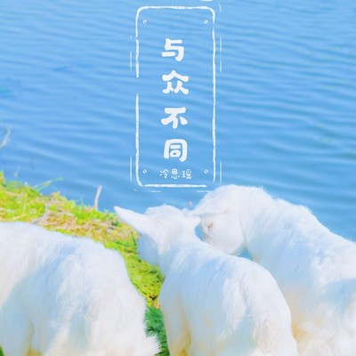 与众不同(伴奏)封面