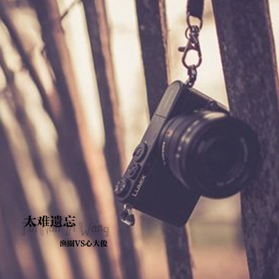 太难遗忘（完整版）封面