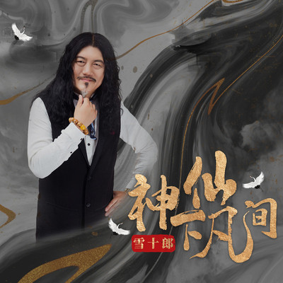 神仙下凡间(DJ陌梦版伴奏) - 雪十郎封面