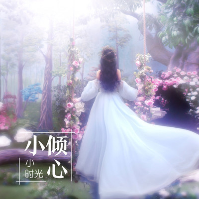小倾心 (伴奏)封面