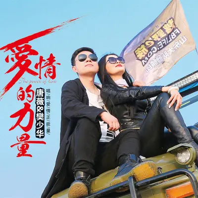 爱情的力量(DJ版)封面