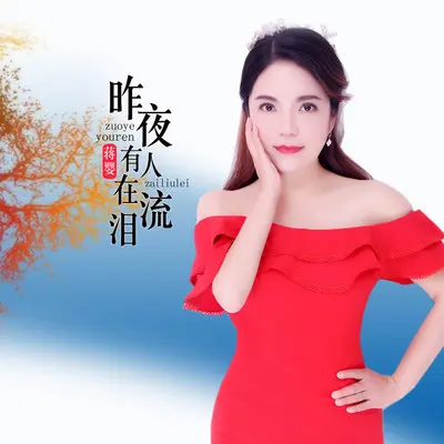 昨夜有人在流泪(伴奏) - 蒋婴封面